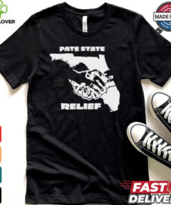 Pate State Material Florida Relief Painting t shirt