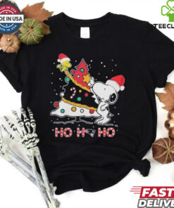 Peanuts Snoopy And Woodstock X New England Patriots Ho Ho Ho Christmas Shirt