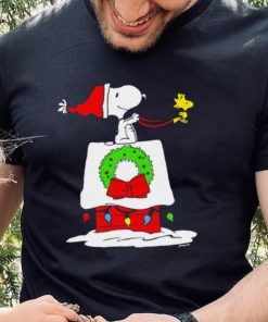 Peanuts Snoopy and Woodstock House Sleigh Christmas hoodie, sweater, longsleeve, shirt v-neck, t-shirt