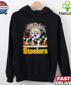 Peanuts Steelers it’s the most wonderful time of the year winter shirt