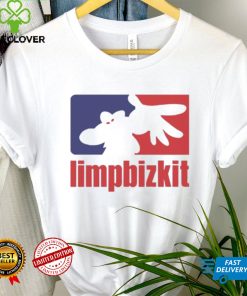 Perfect Limp Bizkit Band Gift Shirt