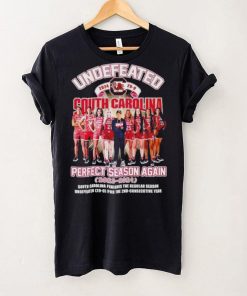 Perfect Season Again South Carolina Gamecocks 2023 2024 shirt