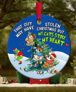 Personalized Gifts For Cat Lover Christmas Ornament 03acpu211024