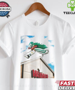 Philadelphia Eagle fly Saquon fly over Wawa Shirt
