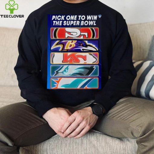 Pick One Team To Win The Super Bowl NFL Shirt