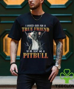 Pitbull I asked god2 Classic T Shirt