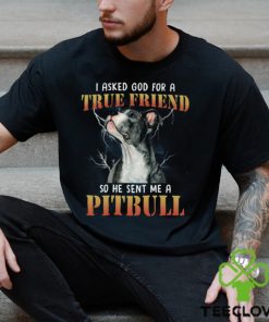 Pitbull I asked god2 Classic T Shirt