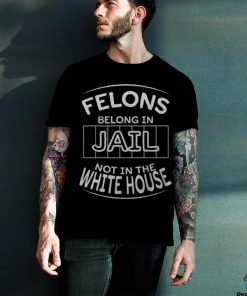 Political Pro Biden Felons Belong In Jail Not White House Men's T hoodie, sweater, longsleeve, shirt v-neck, t-shirt