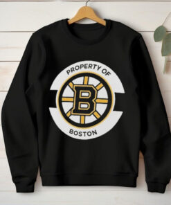 Property Of Boston Bruins Authentic Pro Core Secondary T hoodie, sweater, longsleeve, shirt v-neck, t-shirts