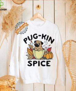 Pug kin spice Pug dog Halloween hoodie, sweater, longsleeve, shirt v-neck, t-shirt