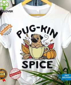 Pug kin spice Pug dog Halloween hoodie, sweater, longsleeve, shirt v-neck, t-shirt