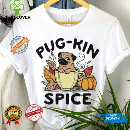 Pug kin spice Pug dog Halloween hoodie, sweater, longsleeve, shirt v-neck, t-shirt