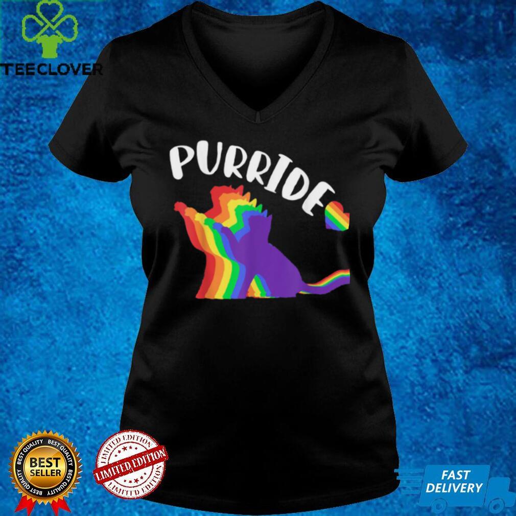 Purride Lgbt Pride Cat T Shirt