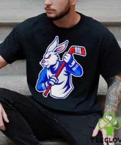 Rabbit hockey player mascot and sport pattern shirt