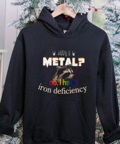 Raccoon Am I Metal No I Have Iron Deficiency hoodie, sweater, longsleeve, shirt v-neck, t-shirt