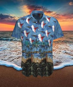 Rafale Solo Display Hawaiian Shirt Best Style For Men Women hawaiian shirt