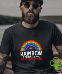 Rainbow a promise of god not a symbol shirt
