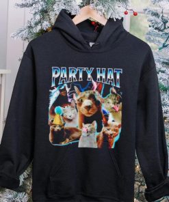 Reallylittlecat party hat cat hoodie, sweater, longsleeve, shirt v-neck, t-shirt