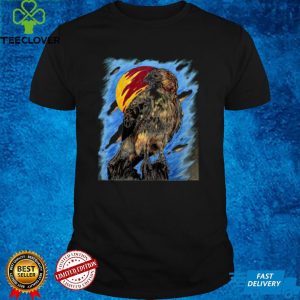 Red tail Hawk art hoodie, sweater, longsleeve, shirt v-neck, t-shirt