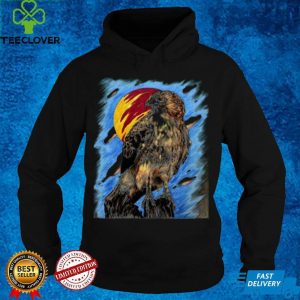 Red tail Hawk art hoodie, sweater, longsleeve, shirt v-neck, t-shirt