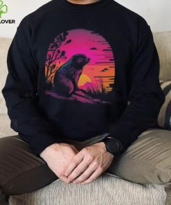 Retro Aesthetic Woodchuck hoodie, sweater, longsleeve, shirt v-neck, t-shirt