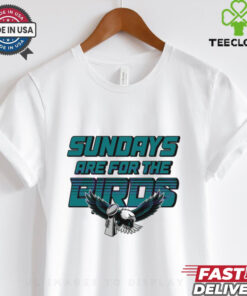Retro Sundays Are For The Birds Super Bowl Champions Trophy Shirt