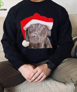 Santa Hat Christmas Dog Labrador Retriever shirt