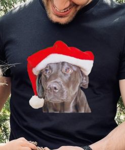 Santa Hat Christmas Dog Labrador Retriever shirt