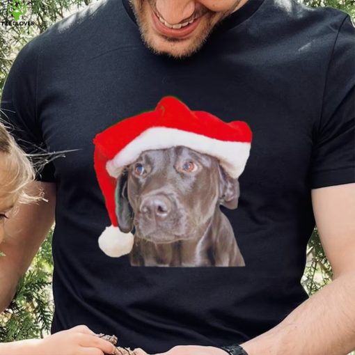 Santa Hat Christmas Dog Labrador Retriever shirt