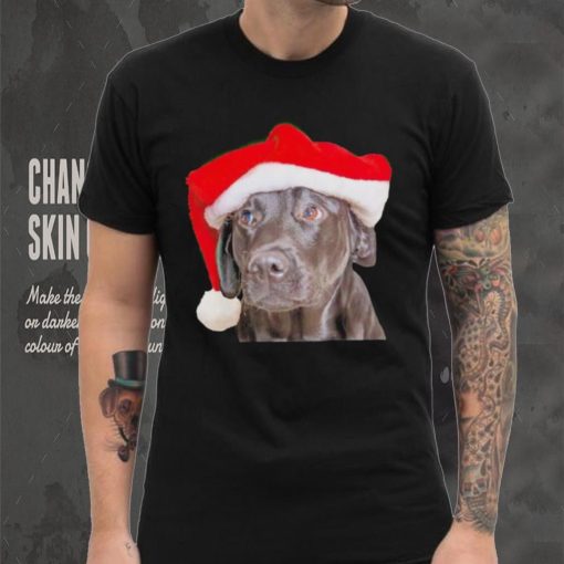 Santa Hat Christmas Dog Labrador Retriever shirt