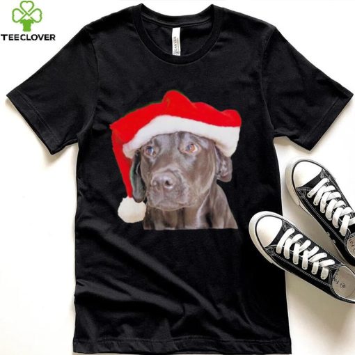 Santa Hat Christmas Dog Labrador Retriever shirt