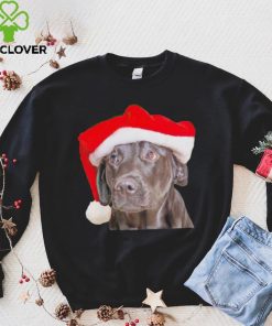 Santa Hat Christmas Dog Labrador Retriever shirt
