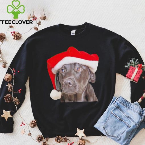 Santa Hat Christmas Dog Labrador Retriever shirt