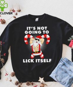 Santa it’s not going to lick itself Christmas funny hoodie, sweater, longsleeve, shirt v-neck, t-shirt