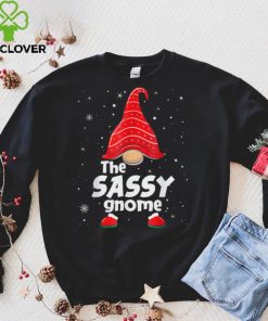 Sassy Gnome Matching Family Group Christmas Party Pajama T Shirt