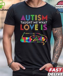Seattle Seahawks NFL 2024 Autism Taught Me What Love Is t shirt