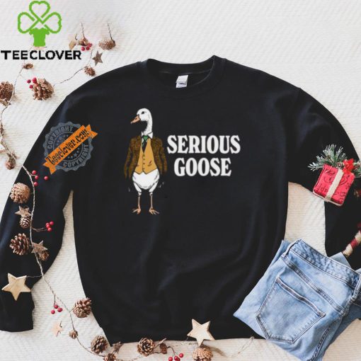 Serious goose hoodie, sweater, longsleeve, shirt v-neck, t-shirt