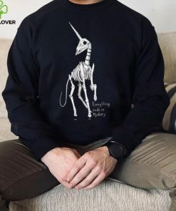 Skeleton Unicorn everything ends in mystery hoodie, sweater, longsleeve, shirt v-neck, t-shirt