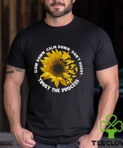 Slow Down Calm Down Trust The Process With Sunflower Motivation Turtle Classic T Shirt