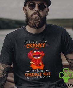 Sorry If I Am Cranky Im In My Terrible 40s Right Now T Shirt