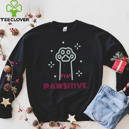 Stay pawsitive 2022 hoodie, sweater, longsleeve, shirt v-neck, t-shirt