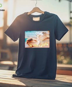 Staying delulu is the solulu frog meme shirt 2 Staying delulu is the solulu frog meme shirt