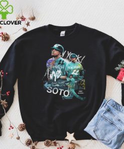 Subway Soto Juan Soto New York 22 t hoodie, sweater, longsleeve, shirt v-neck, t-shirt