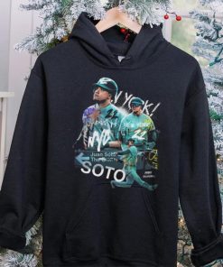 Subway Soto Juan Soto New York 22 t hoodie, sweater, longsleeve, shirt v-neck, t-shirt