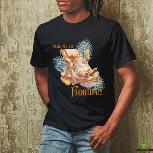 Take me to Florida cat vintage hoodie, sweater, longsleeve, shirt v-neck, t-shirt