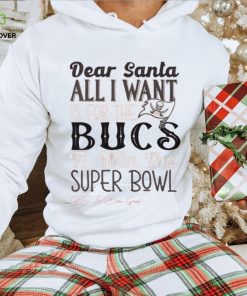 Tampa Bay Buccaneers All I Want To Win The Super BOWL T Shirt