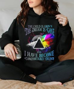 The Child Is Grown The Dream Is Gone And I Have Become Comfortably Numb Pink Floyd Unisex T Shirt