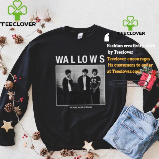 The Model World Tour Wallows Tee shirt