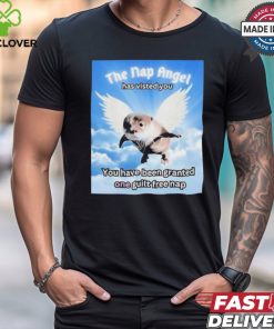 The nap angle has visited you you have been granted one guilt free nap T shirt 2 The nap angle has visited you you have been granted one guilt free nap T shirt