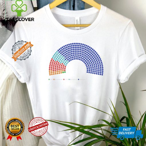 The parliament is gonna look insane America 2024 shirt